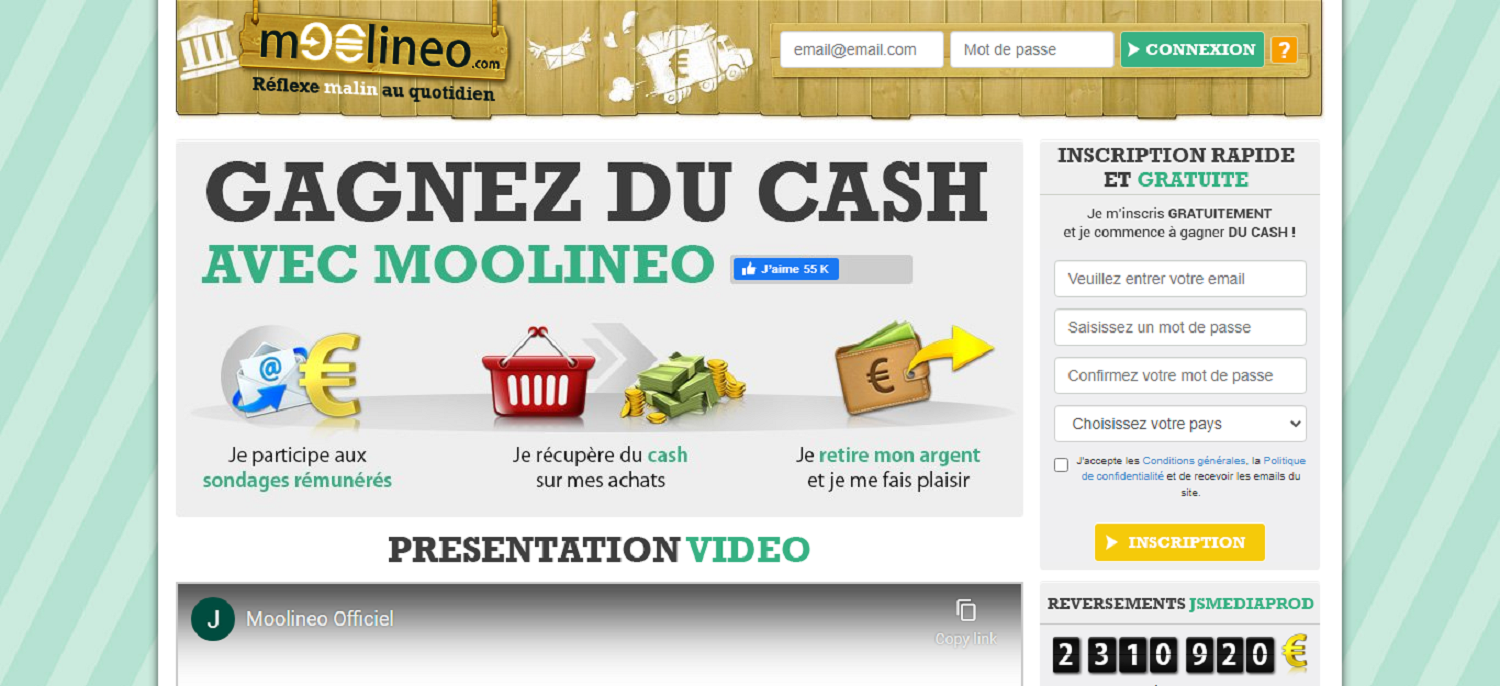 Make money online with Moolineo 2022