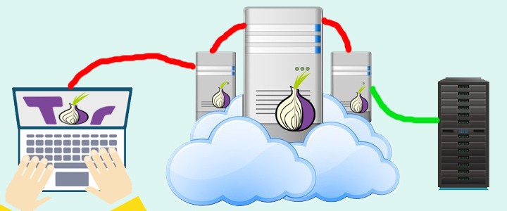 Method 1: Hide IP with Tor Browser