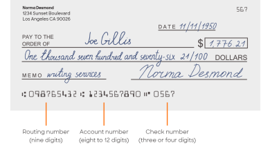 What is the difference between Routing Numbers and Account Numbers?