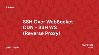 SSH Over WebSocket CDN - SSH WS (Reverse Proxy)