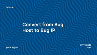 convert from Bug Host to IP