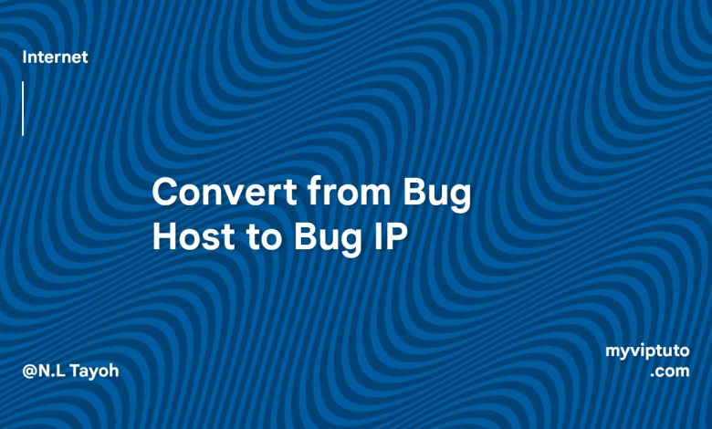 convert from Bug Host to IP