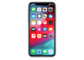 iPhone11,6