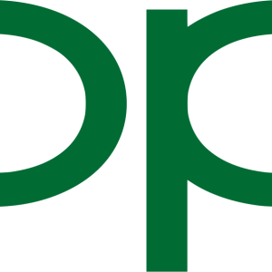 Who founded Oppo
