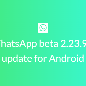 WhatsApp beta 2.23.9.5 update for Android addresses the splash screen bug issue