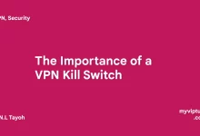 The Importance of a VPN Kill Switch: Protecting Your Online Privacy and Security